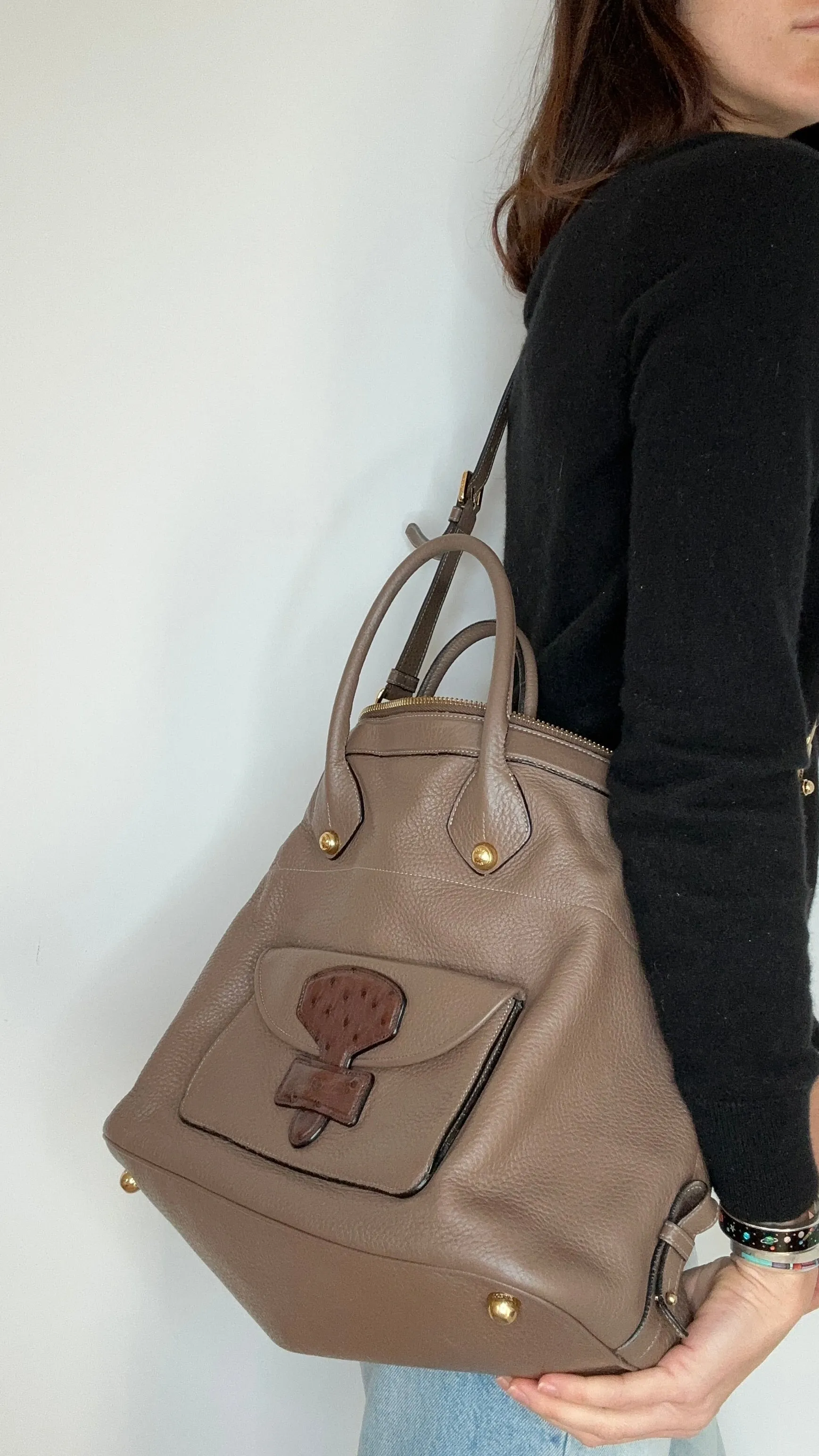 Leather & Ostrich Bag