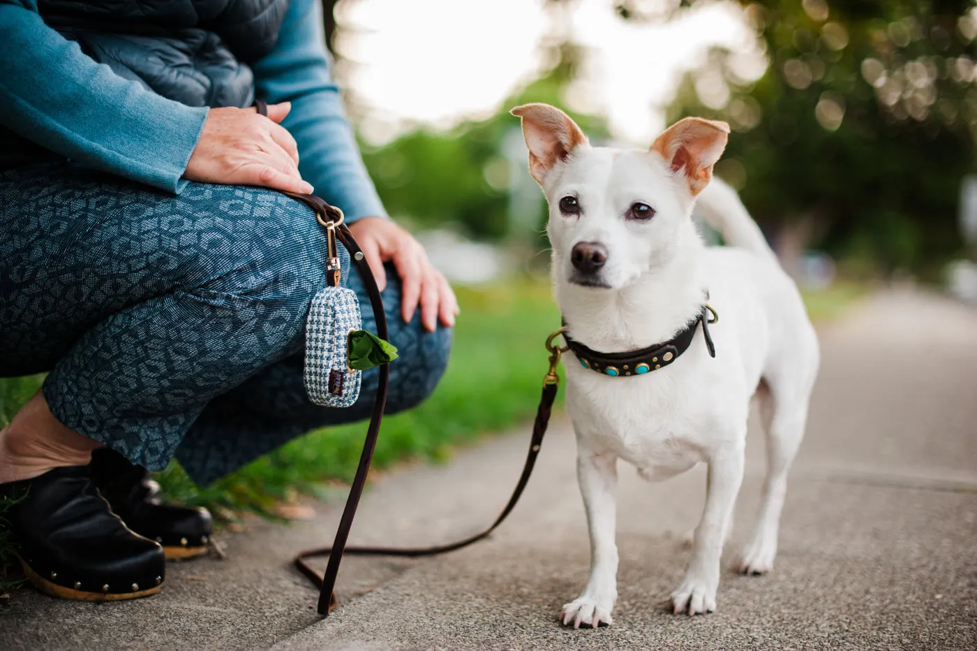 Proper Pup Poop Bag Dispenser